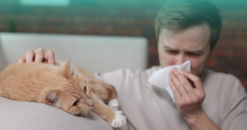 katar który nie mija - alergia