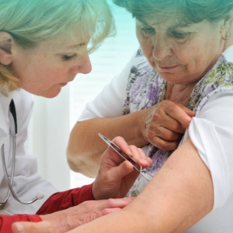 Ukąszenie kleszcza – co zrobić i kiedy skonsultować się z lekarzem – QMEDICA Centrum Medyczne